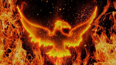Firehawks Explained: Are Australia’s Raptors Really Spreading Flames to Hunt? (Representative Image: Canva)