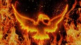 Birds that carry fire? Unpacking the myths and reality of Australia’s firehawks