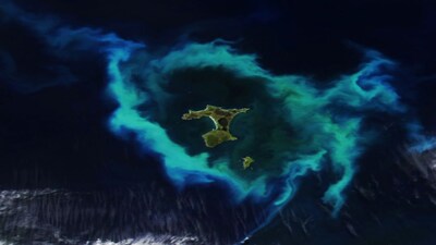 Ring of green and blue from phytoplankton seen near New Zealand’s Chatham Islands. (Image: NASA)