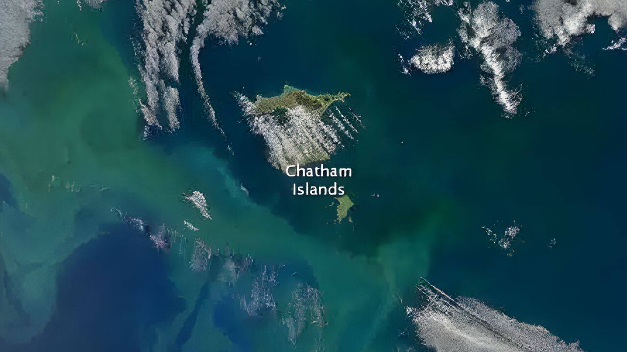 The bloom covered an area larger than New Zealand’s South Island. (Image: NASA)