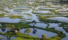 The World’s only floating wildlife national park is in India, know its story and where it is located