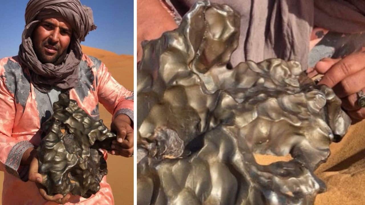 Ali Benamar, a well-known meteorite hunter, discovered Iron meteorites in Sahara Desert. (Image: Instagram/@africa)