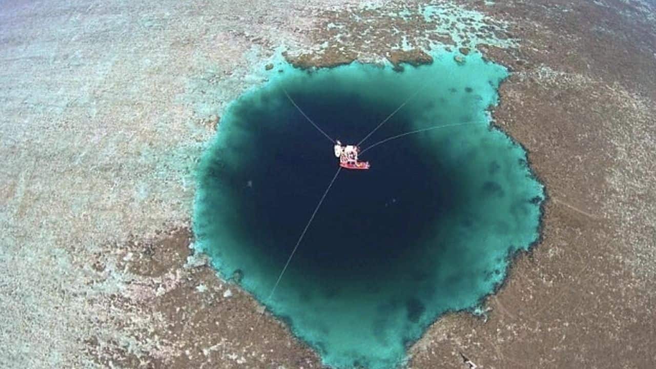 South China's “Dragon Hole” hides 1,700 strange viruses beneath the ocean