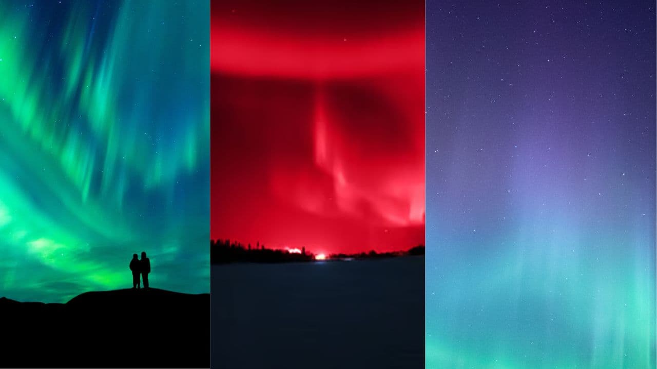 Aurora in Green, Red, blue and purple colours (Image: Canva)