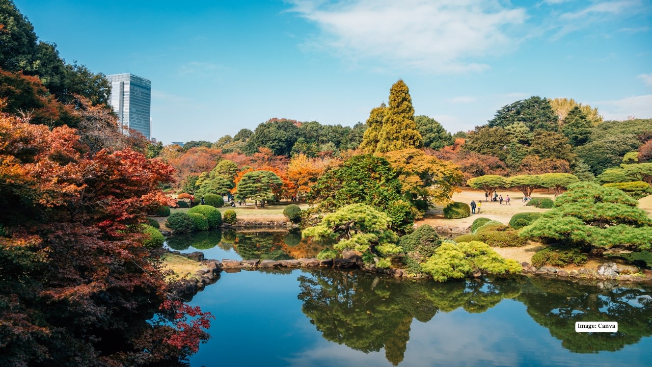 1. Shinjuku Gyoen National Garden – Tokyo’s Tranquil Heart In the bustling heart of Tokyo lies Shinjuku Gyoen National Garden, a perfect romantic oasis. Spanning traditional Japanese, English, and French-style gardens, this park invites couples to slow down and enjoy peaceful moments together. You can lay a picnic blanket under a canopy of trees, stroll along flower-lined paths, or explore the tropical conservatory. During spring, the cherry blossoms turn the park into a pastel wonderland, perfect for romantic photos or quiet reflections. Historic yet serene, Shinjuku Gyoen offers a rare calm amid Tokyo’s fast pace, making it an ideal Valentine’s Day escape. (Image: Canva)
