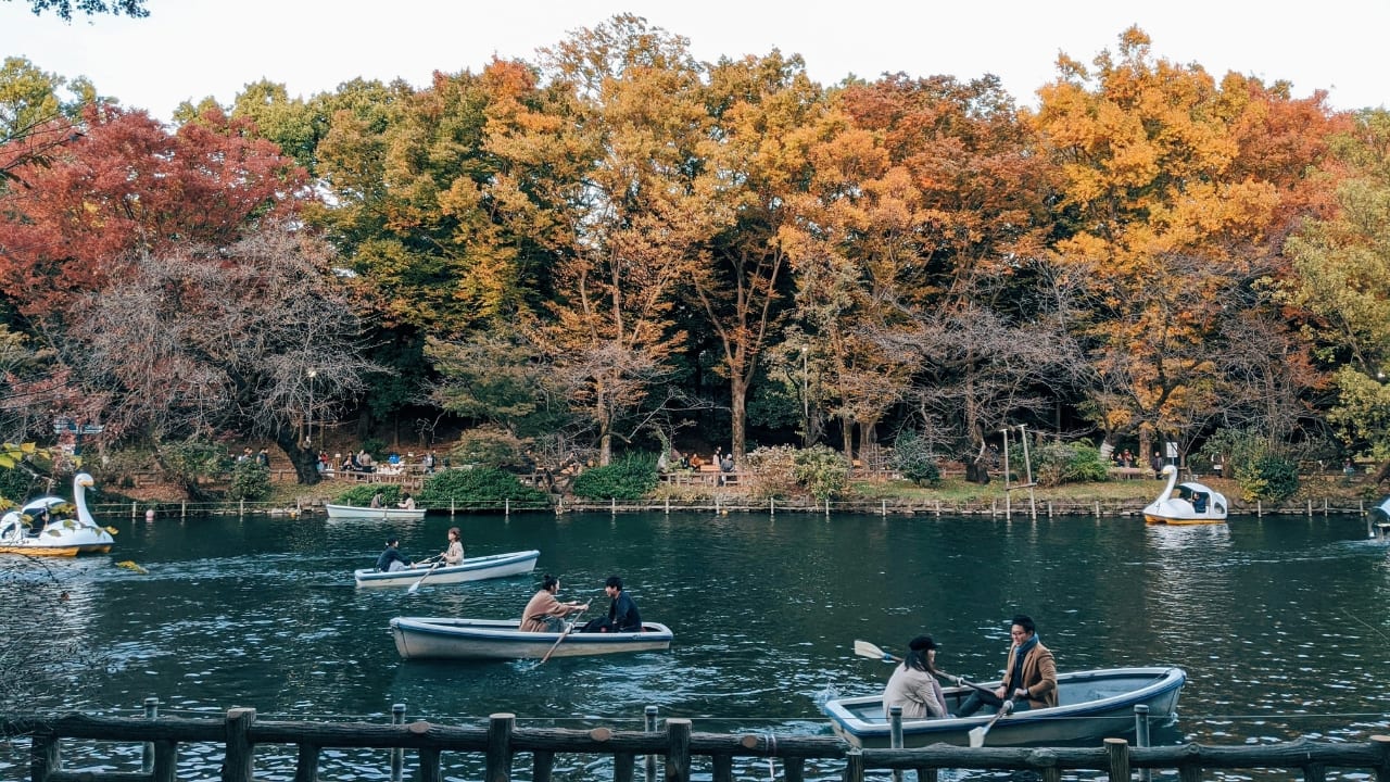 2. Inokashira Park – Romance on the Water Nestled in Kichijoji, Western Tokyo, Inokashira Park is a dreamy lakeside retreat. Its large pond is perfect for paddle boat rides, allowing couples to glide gently across water framed by trees and blossoms. The park also has serene walking paths and an observatory with panoramic views of the surrounding greenery and the city. Cafés by the lake invite couples to linger over tea or snacks while soaking in the calm atmosphere. For couples who enjoy intimacy and nature, Inokashira Park is a haven of peaceful romance in Tokyo. (Image: Unsplash)