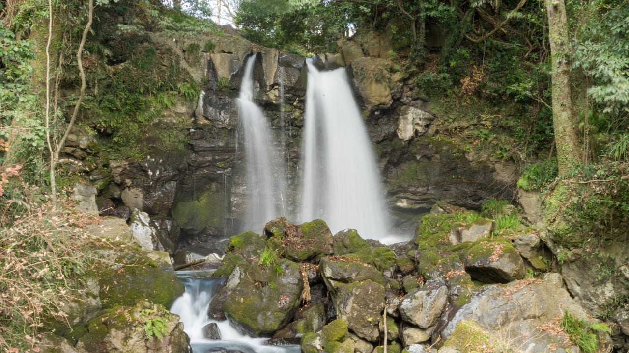 3. Kairakuen Garden – Plum Blossom Paradise in Mito For couples seeking a quieter, more intimate experience, Kairakuen Garden in Ibaraki Prefecture is a hidden gem. Famous for its over 3,000 plum trees, the park blooms in mid-February, just in time for Valentine’s Day. Walking through the colorful blossoms on wooden bridges, couples can enjoy serene views and a sense of timelessness. The park’s historical charm is enhanced by the presence of Kodokan, a traditional school that adds a cultural touch to your stroll. Kairakuen Garden is perfect for couples who value peace, beauty, and history together. (Image: Canva)