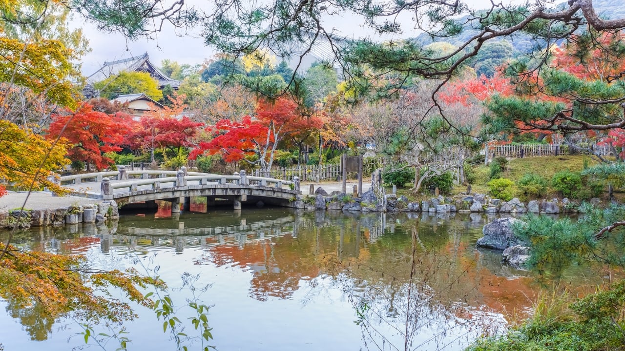 5. Maruyama Park – Kyoto’s Cherry Blossom Retreat Maruyama Park, located in Kyoto, is one of the city’s most famous parks, renowned for its cherry blossoms and serene atmosphere. Couples can enjoy peaceful walks along ponds, traditional Japanese gardens, and tree-lined paths. A stop at a nearby tea house adds warmth and intimacy to the experience, perfect for sipping matcha together. Whether visiting in winter for a quiet escape or spring for the sakura blooms, Maruyama Park offers a romantic setting steeped in both natural beauty and historic charm. (Image: Canva)