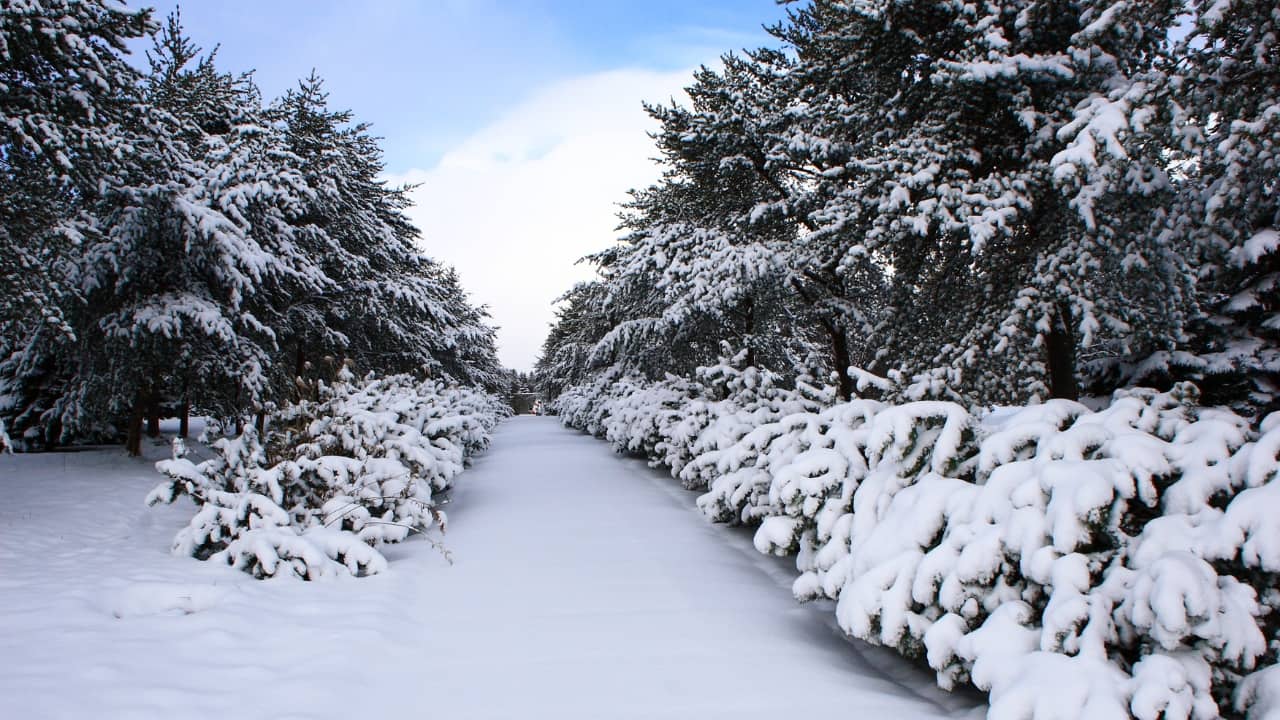 6. Moerenuma Park – Sapporo’s Artistic Escape In Sapporo, Hokkaido, Moerenuma Park combines modern art, architecture, and natural beauty, offering couples a truly unique romantic experience. Designed by renowned sculptor Isamu Noguchi, the park features stunning art installations, sculptures, and geometric landscapes. Couples can picnic in the snowy winter wonderland, walk among sculptures, or relax by the glass pyramid for panoramic views. The artistic and open nature of Moerenuma Park makes it a memorable and one-of-a-kind Valentine’s destination. (Image: Canva)