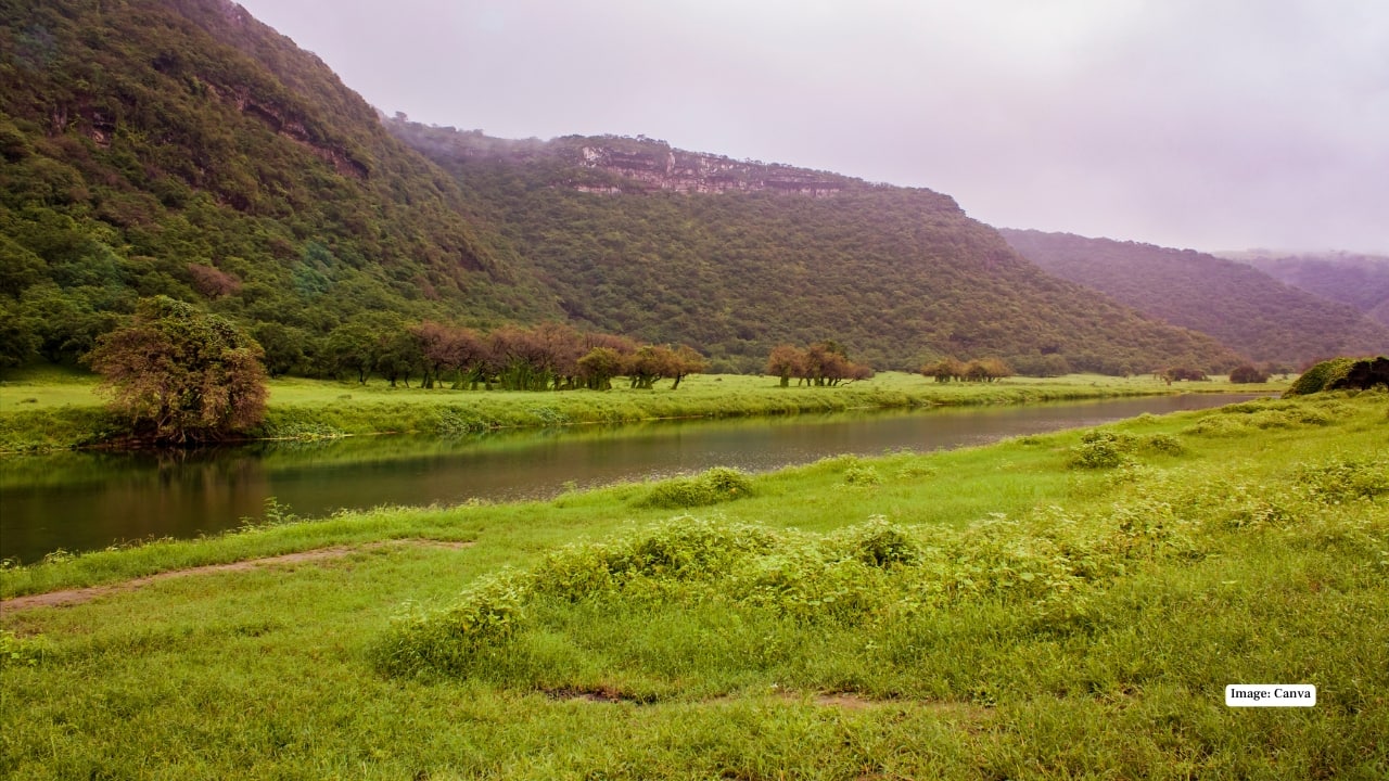 <strong>7. Wadi Darbat – Lush Valleys and Seasonal Lakes</strong><br />Wadi Darbat, near Salalah, is one of the most scenic areas in Oman during the Khareef season. Rolling green hills, flowing streams, and seasonal lakes create a postcard-perfect setting. Visitors can enjoy short hikes, picnics, and even boat rides when water levels rise, making it a favourite among nature lovers and photographers.