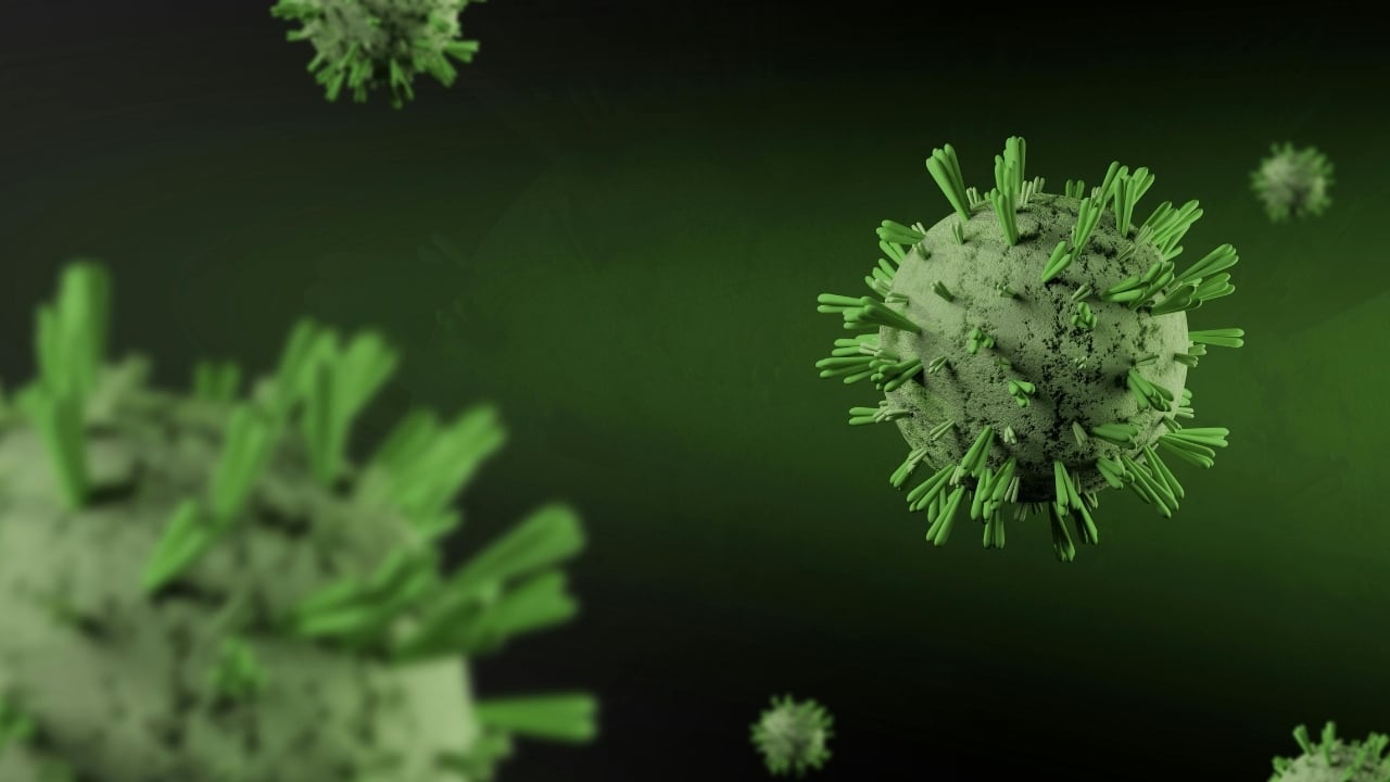 Why the same cold virus barely affects some people, and knocks others flat