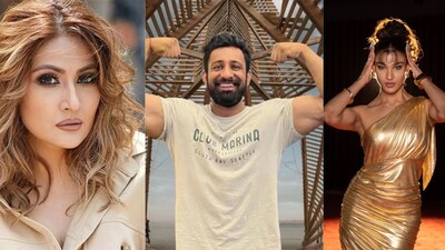 The 50: Rajat Dalal, Urvashi Dholakia, Nehal Chudasama, and more Bigg Boss contestants who will be seen in the reality show