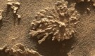 NASA’s Curiosity finds "coral-shaped rock" on Mars, hinting at ancient water mystery