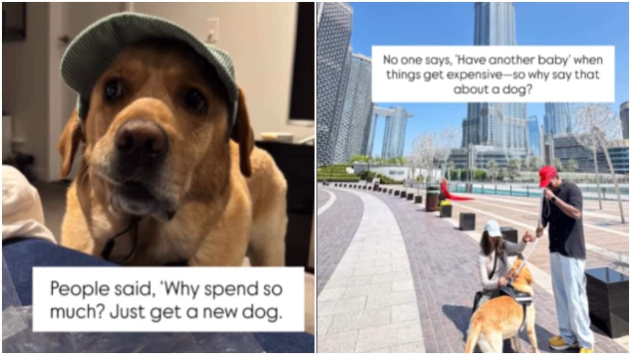 6 months, Rs 15 lakh: Indian couple's dog relocation from Hyderabad to Australia goes viral