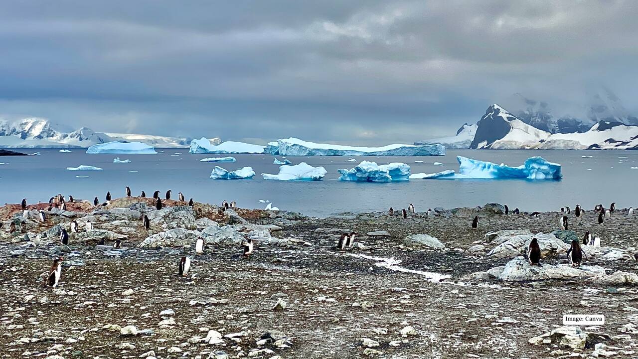 9. The Antarctic Peninsula Few places on Earth feel as otherworldly as Antarctica. During the southern summer, the sun stays aloft for months, illuminating glaciers, mountains, and penguin colonies in pristine clarity. Researchers and expedition crews work flexible hours under constant daylight. Winter brings total darkness. Only the southern lights, stars, and the faint glow of ice break the blackness — an experience reserved for a select few who describe it as utterly transformative.