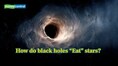 How do black holes “Eat” stars? Science explained for kids