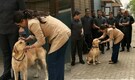 Mardaani 3 records a strong box office start, Rani Mukerji celebrates with Mumbai police dog squad, Watch video