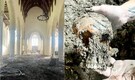 Couple discovers 80 skeletons while converting 900-year-old church into home: 'Lot more than we...'