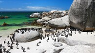 <strong>9. Boulders Beach – Simon’s Town, South Africa</strong><br />Famous for its resident colony of African penguins, Boulders Beach combines giant granite boulders with secluded coves. It’s surreal not just in scenery but also in wildlife encounters.