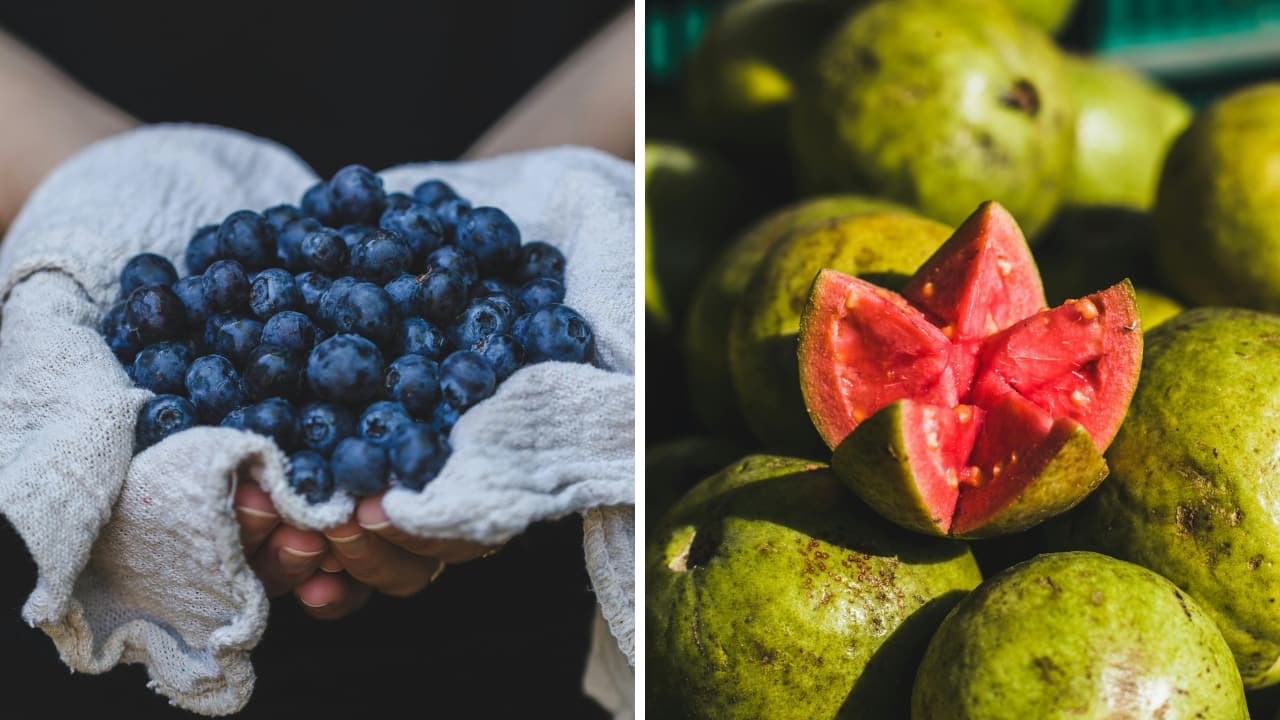 Rs 2000/kg Blueberries or Rs100/kg Guava: Mumbai doctor explains which one is better for your health