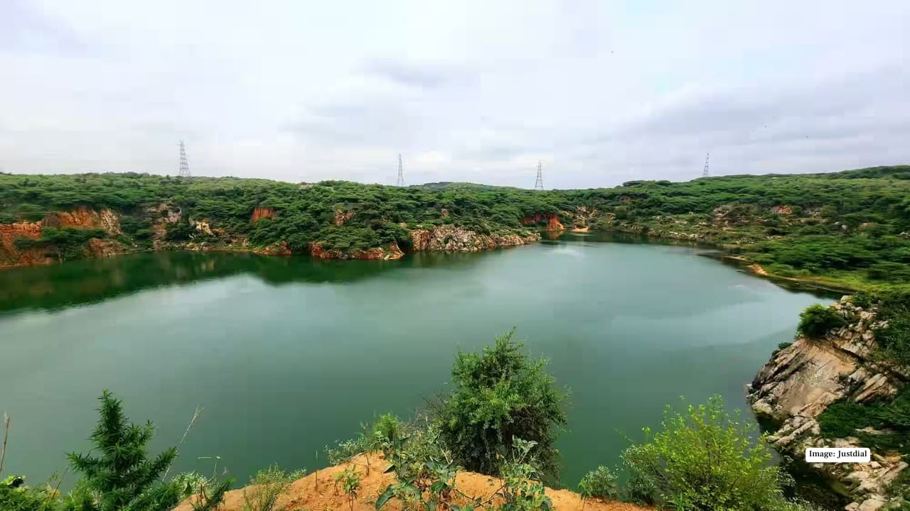 Neeli Jheel could soon become Delhi’s first Ramsar site as efforts to protect iconic wetland continue