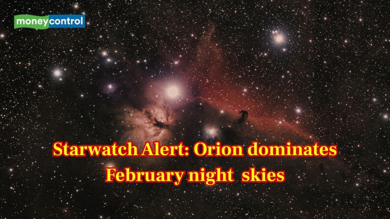 Starwatch Alert: Orion the "hunter" dominates February night across global skies