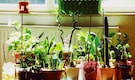 How to transition your home décor from winter to spring