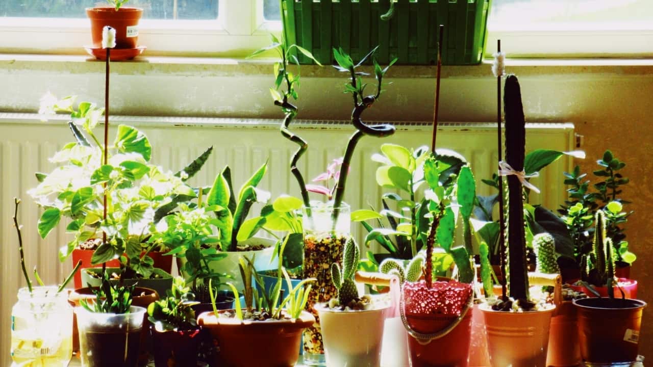 How to transition your home décor from winter to spring