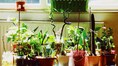 How to transition your home décor from winter to spring