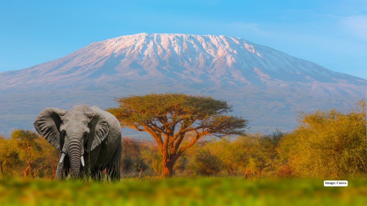 Mount Kilimanjaro, Tanzania