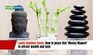Lucky Bamboo Vastu: How to place this 'Money Magnet' to attract wealth and luck
