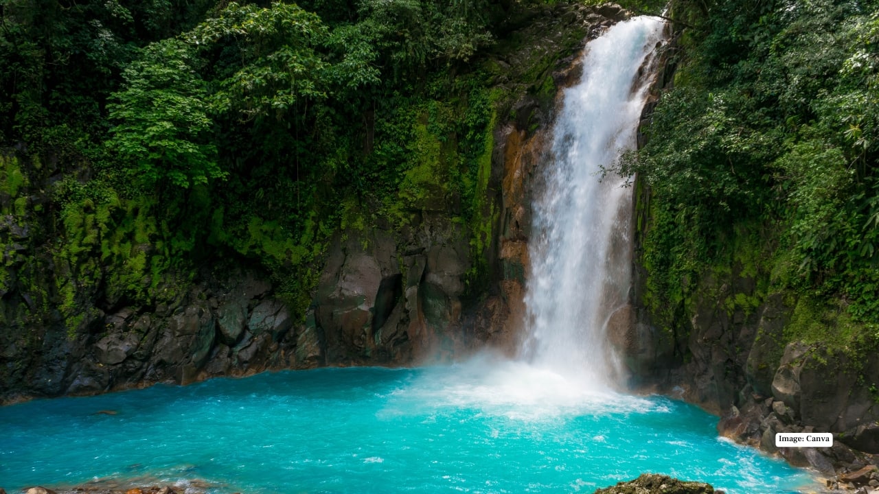 <strong>1. Costa Rica</strong><br />Costa Rica is a nature lover’s paradise. From lush rainforests and volcanoes to pristine beaches and exotic wildlife, every corner of the country offers adventure and serenity in equal measure. Surfing, zip-lining, and wildlife spotting are just the beginning.<br /><strong>Why return:</strong> The perfect mix of adventure, biodiversity, and relaxing beach escapes.