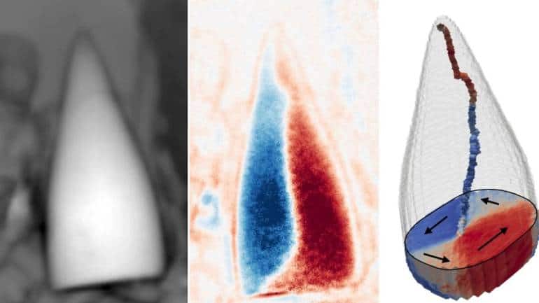 A magnetofossil identified by the researchers. (Image: Rich Harrison)