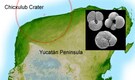"Space Dust" shows how life bounced back fast after dinosaur-killing asteroid