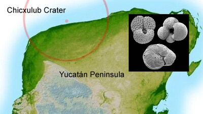 Chicxulub crater and foraminifera studied to know more about asteroid that killed dinosaur. (Image: Chris Lowrey)