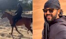 Karthi’s horse riding video from Dubai impresses fans and social media, says he loves being in the wild