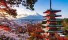 Mount Fuji cherry blossom festival cancelled due to overtourism