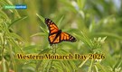 Western Monarch Day 2026: This widely known butterfly species is facing extinction