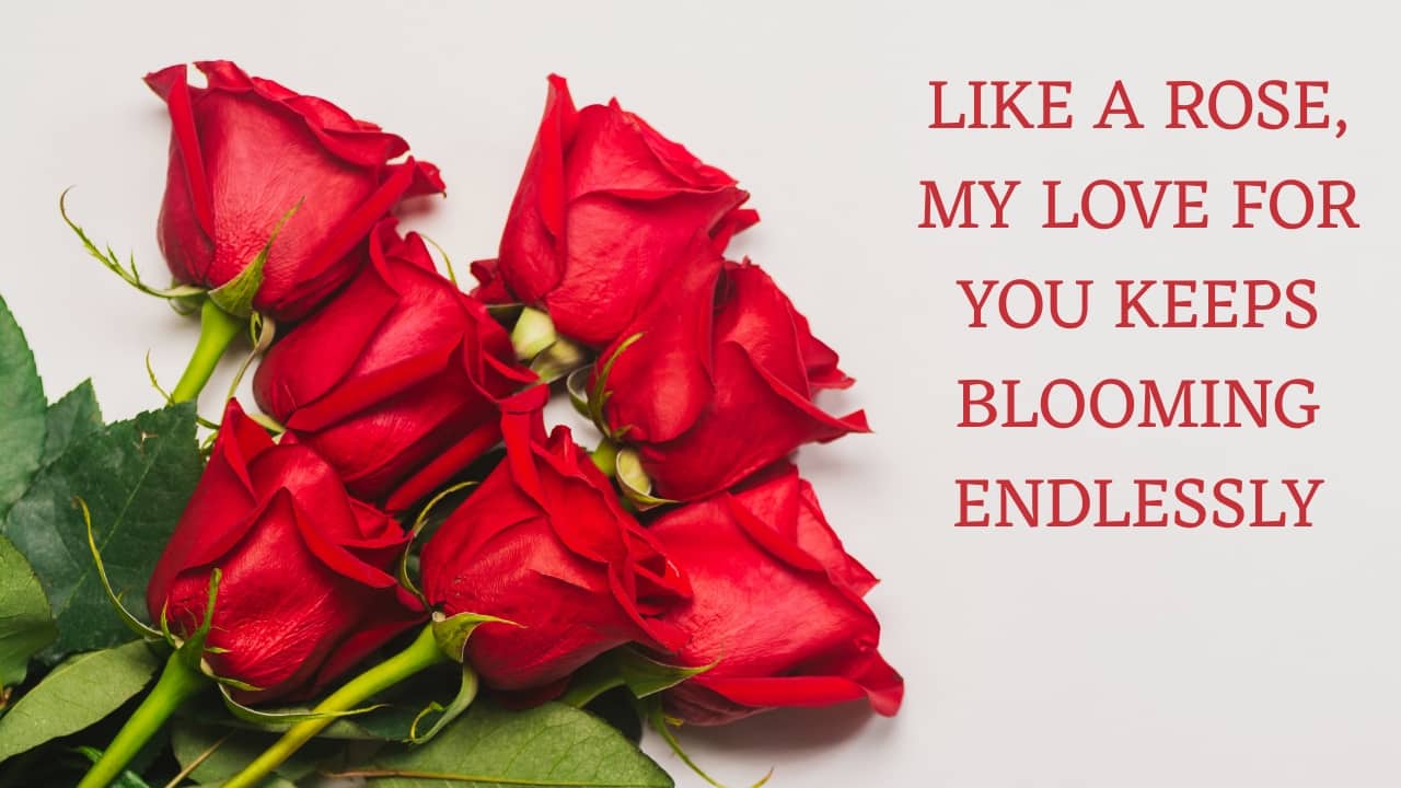 Happy Rose Day 2026 greeting card