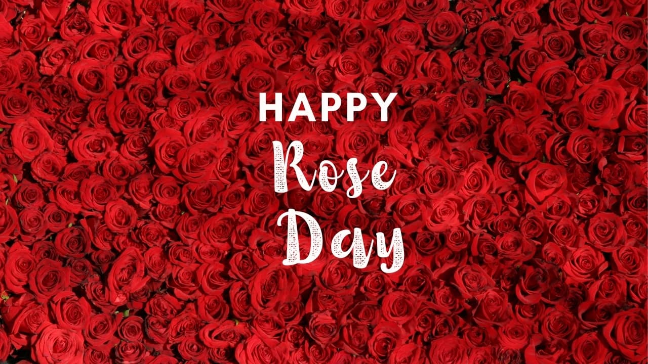 Happy Rose Day cute image