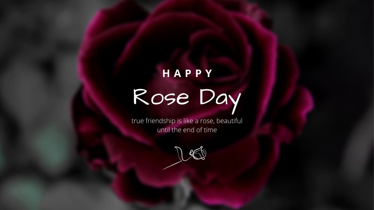 Rose Day 2026: Cute Rose Day image 