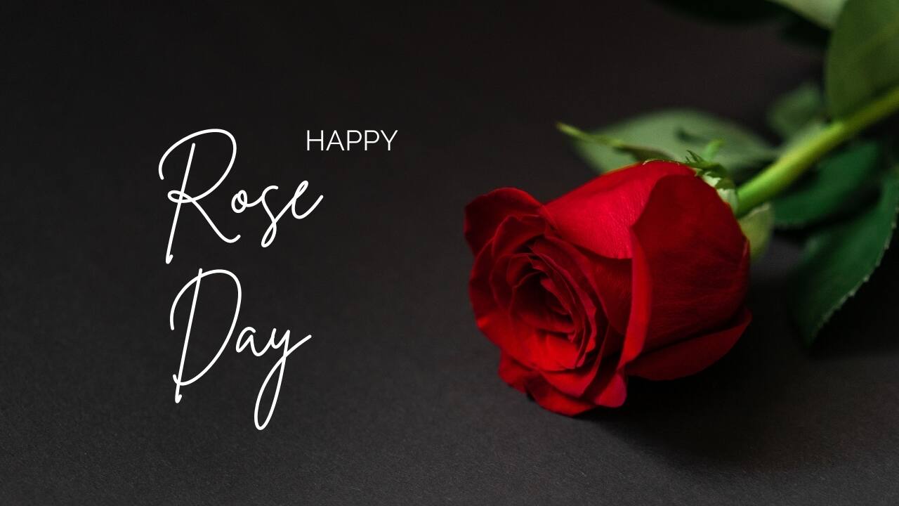 Happy Rose Day image