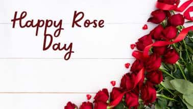 Happy Rose Day: Best way of saying 'I Love You' 