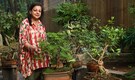 How to grow and maintain bonsai plants in Indian homes? Harsha Ashok Hinduja shares
