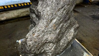 A Garden Ornament or a Space Relic Russia Seizes 4.5-Billion-Year-Old Meteorite Headed for Britain (Image: Russian Federal Customs Service/TASS)
