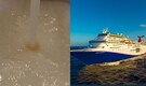'People are getting sick': Carnival cruise passenger says ship smells like poop, viral video sparks outrage