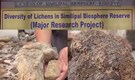 148 species of lichens found in Simlipal National Park, the highest ever recorded in Odisha