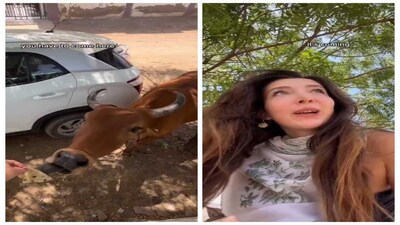European woman in India quits beef after emotional calf moment