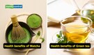 Matcha vs Green Tea: Which one is better for your health? US gastroenterologist explains the real difference