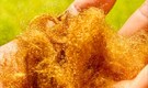 World’s Rarest Fabric: South Korea recreated "golden fabric" that got vanished 2,000 years ago